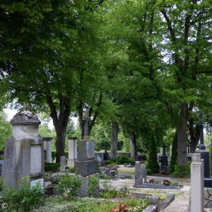 Erdgräber im historischen Teil des Friedhofs