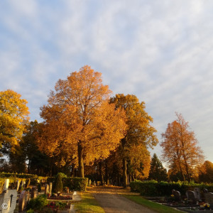 Erdgräber im neuer Teil des Friedhofs im Herbst